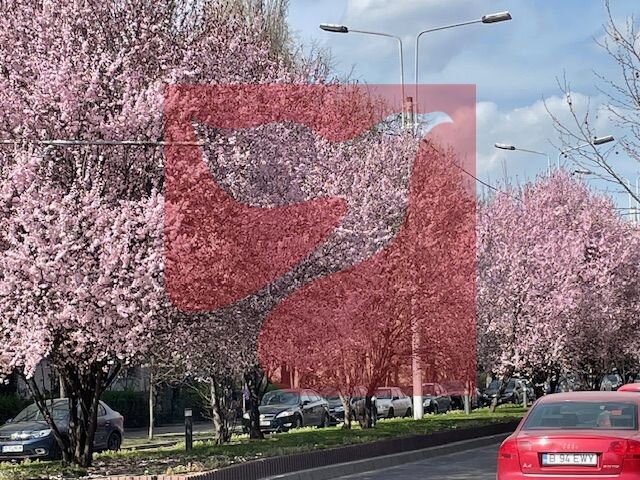 Giulesti, Crangasi, Constructorilor, 3 camere, parter,